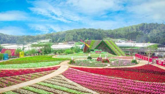 Nguyen Phuong Hotel Dalat Dış mekan fotoğraf
