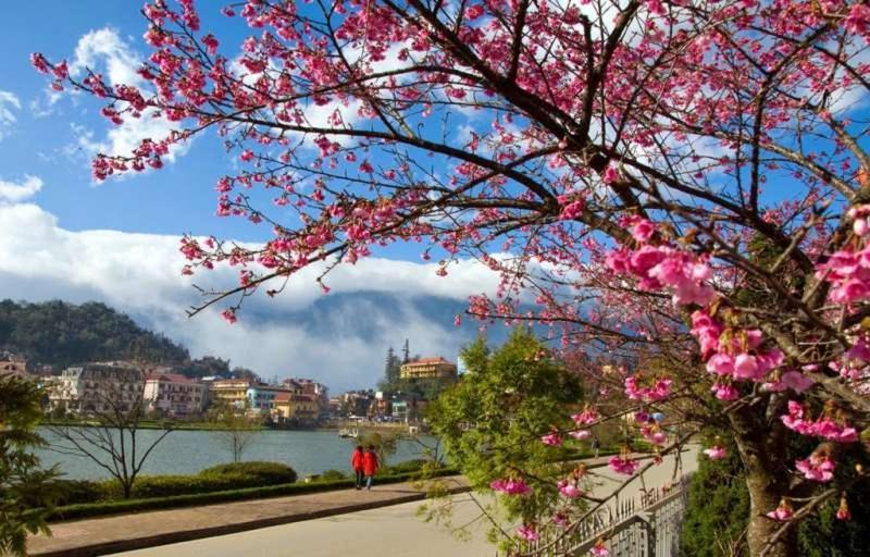 Nguyen Phuong Hotel Dalat Dış mekan fotoğraf